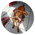 Avatar for fabe076