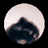 Avatar for PBLewis
