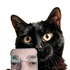 Avatar for Lem_On_Wheels