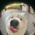samnatha_yun için avatar