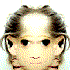 Avatar for ezhy_chereshny
