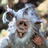 Avatar di RunDMTobi