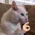 Avatar for Delkata