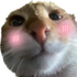 Avatar for xcdfz