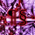 phylum_sinter için avatar