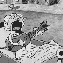 Avatar di randomyell