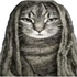 Avatar di kasaii0131