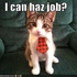 Avatar for unemployedcat