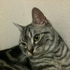 Avatar for tiru0126