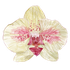 Avatar for katyaaah