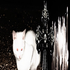 Avatar for nanielson312