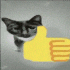 Avatar for Catlover1339
