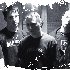 Avatar di Through Devastation