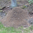 Avatar for ameisenhaufen