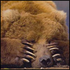 Avatar for mob_katherson