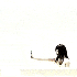 Avatar di windswepttt