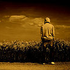 Avatar for mmaniek