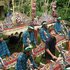 Suar Agung のアバター