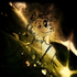 Avatar for unusualListener