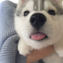 Avatar for happi-