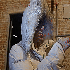 Avatar di Fenix Darko