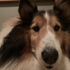 Avatar for ikea_enjoyer