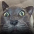 Avatar for clairegeese