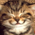 Avatar for Tacoval_