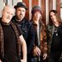 Avatar for Spin Doctors