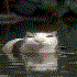 Avatar for Kittyy_752582