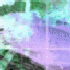 Avatar for rododrendron