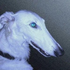Avatar for lienvoid