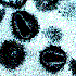 Avatar di WholeHole