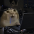 Avatar for akaaa_