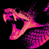 Avatar for I__spider__I