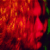 Avatar for farizamercury
