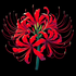 Avatar for Karma192