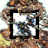 Avatar for Quoz