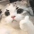 Avatar for Gowther_ls