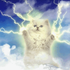Avatar for SilverLion94