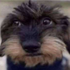 Avatar for quatropintos