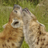 Avatar de yeen_