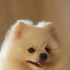 Avatar for jinniespring