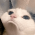 alonsoiidx さんのアバター