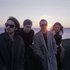 Avatar for Wolf Alice