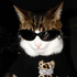 alanzinhiyo için avatar