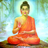 Avatar for matgd21