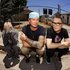 Avatar for blink-182