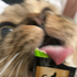 Avatar for toob_88