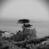 Avatar for observing0